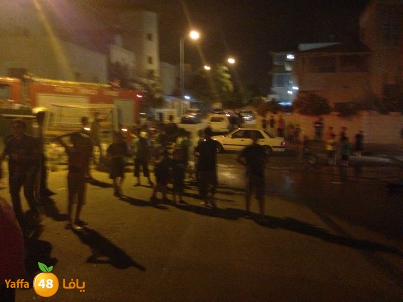 firelud608608 (13).jpg